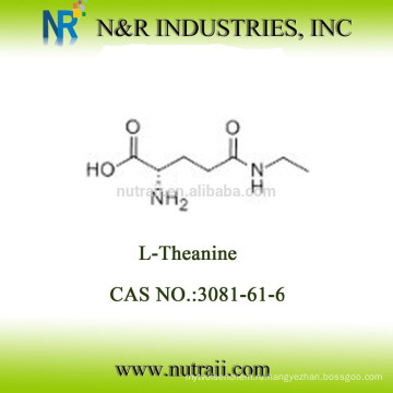 Надежный поставщик аминокислот L-Theanine 3081-61-6